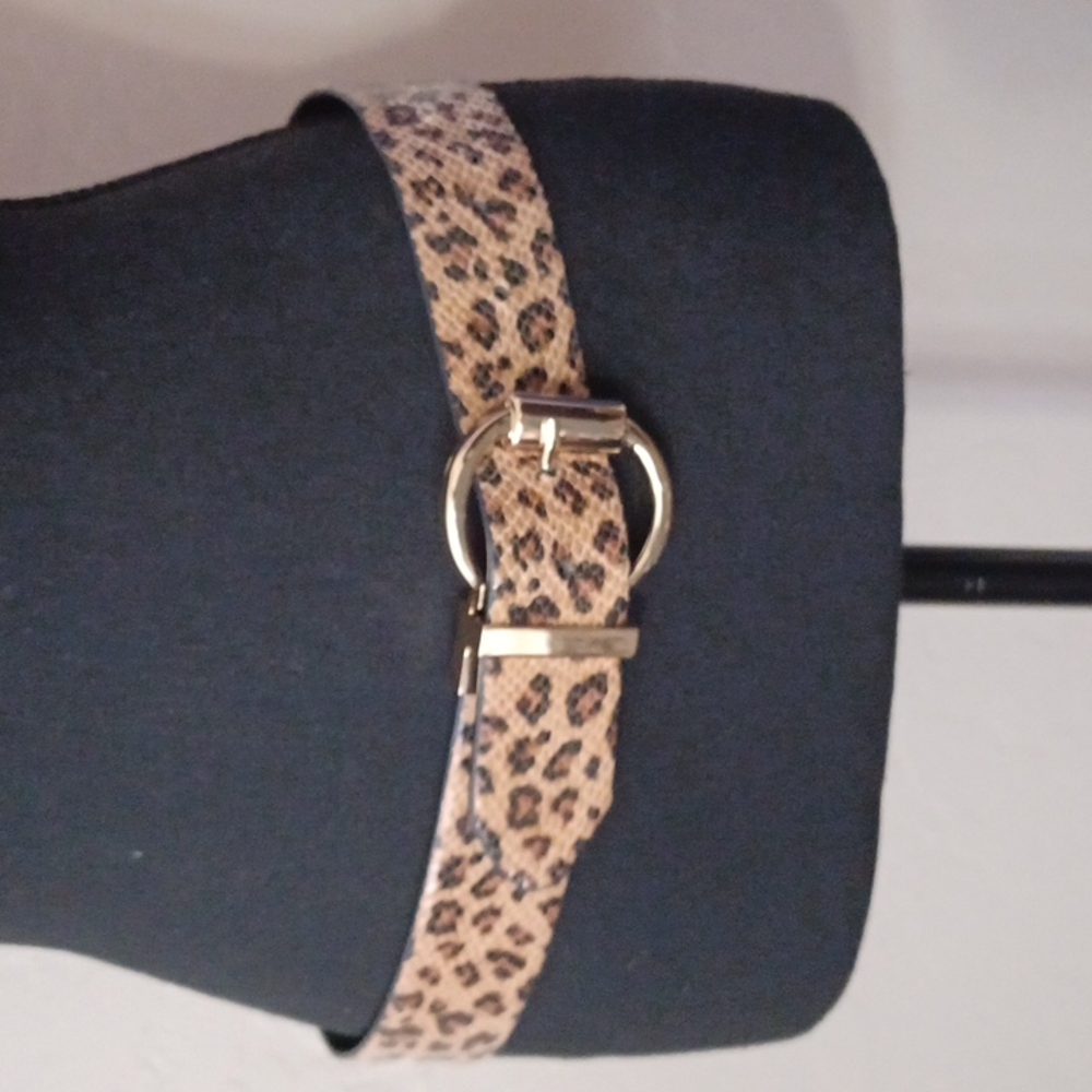 Another Line Two Sided Belt